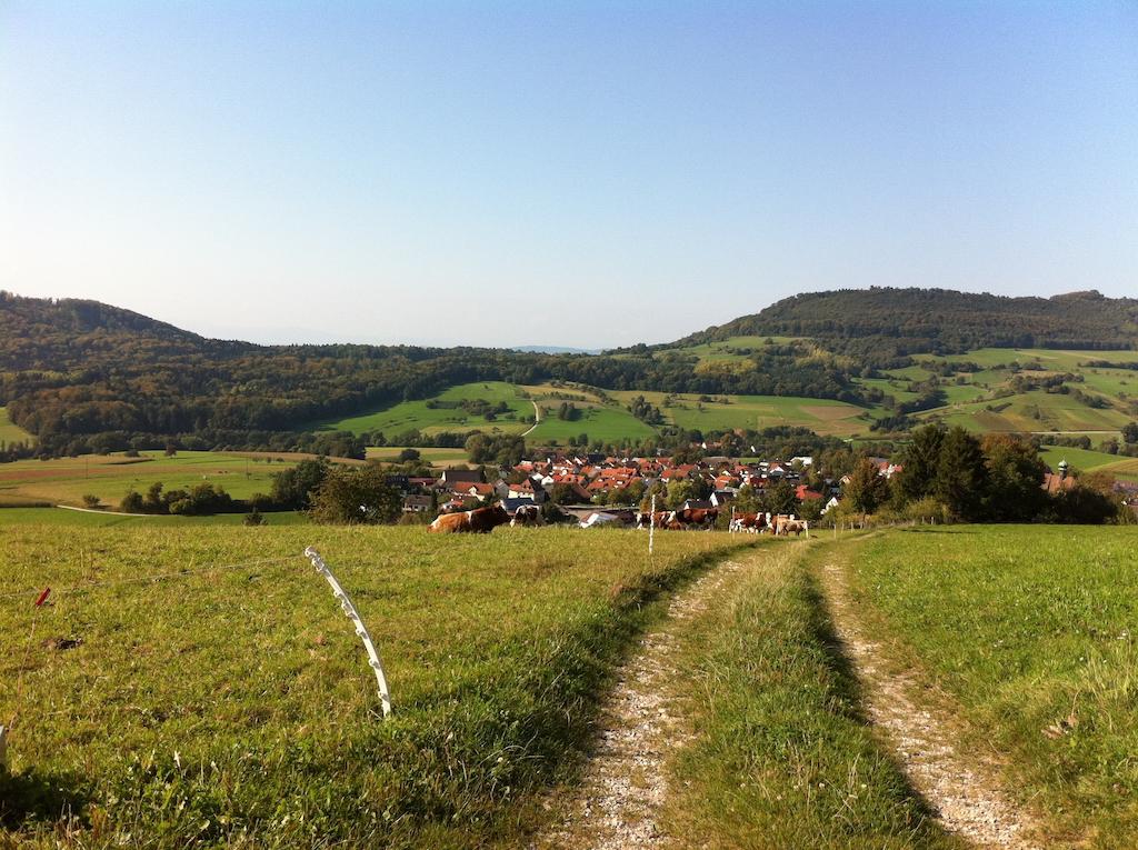Luxus Appartement Schwarzwald Bei Freiburg 4 Schlafzimmer Sauna Sölden 部屋 写真