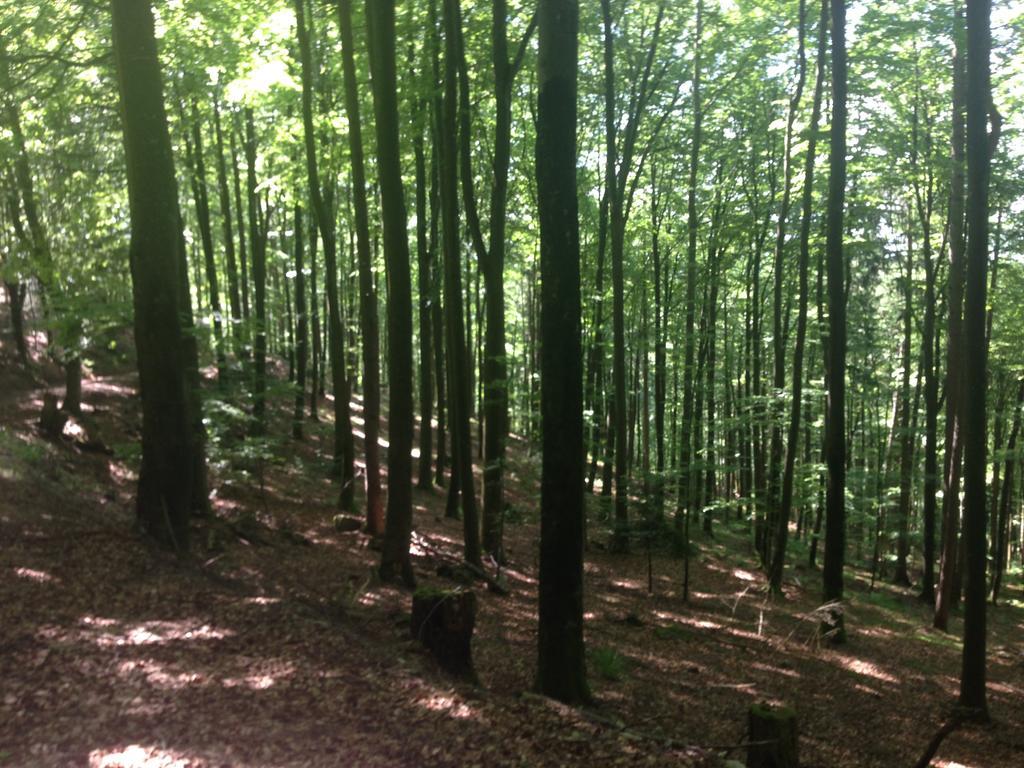 Luxus Appartement Schwarzwald Bei Freiburg 4 Schlafzimmer Sauna Sölden エクステリア 写真
